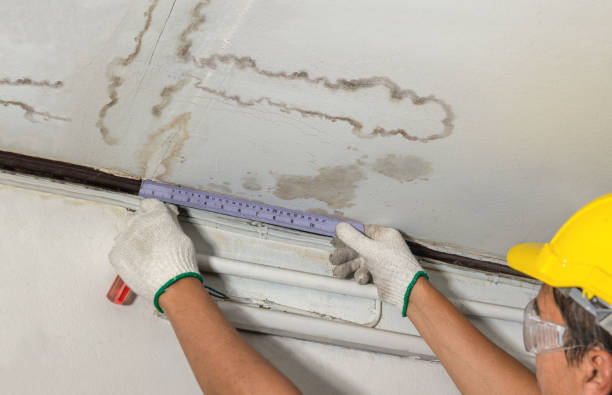 Reliable Water Damage contractor in Idalou, TX by Water Damage Irwin